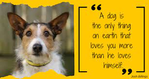 coping with pet grief dogs trust