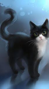 Black White Cat Wallpaper Mobcup
