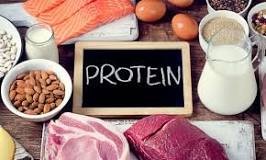 protein-nedir-ne-işe-yarar