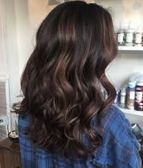 Lowlights in dark hair can add the perfect touch of color for the fall. 60 Hairstyles Featuring Dark Brown Hair With Highlights