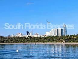 top 10 beach cities in south florida to
