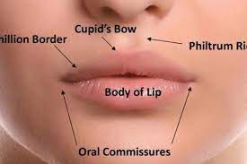 8 point lip lift learn what it means