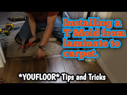 mold from laminate to carpet