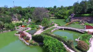 anese tea garden alamo stadium