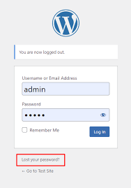 fix can t log in to wordpress admin error