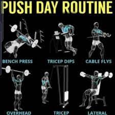 push chest shoulders triceps a free