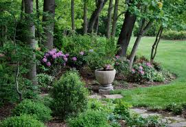 having the perfect shade garden blog