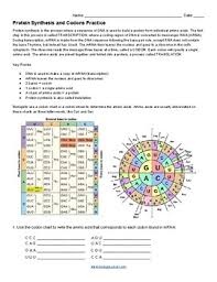 You can do the exercises online or download the worksheet as pdf. Protein Synthesis Practice Using Codon Charts