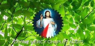 In the name of the father, and of the son, and of the holy spirit. Divine Mercy Chaplet Audio With Text For Pc Free Download Install On Windows Pc Mac