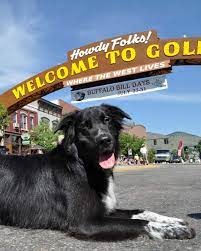 dog friendly golden colorado things
