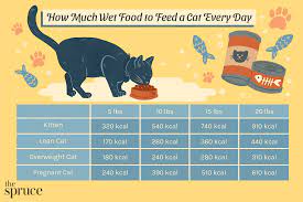 how much wet food to feed a cat every day