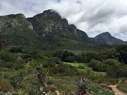 table mountain national park visitor s