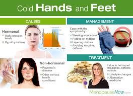 cold hands and feet menopause now