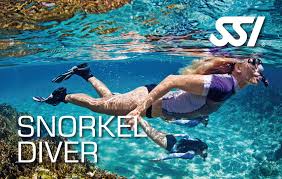 ssi tutorial divers life