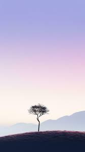 minimalist natural wallpaper for mobile