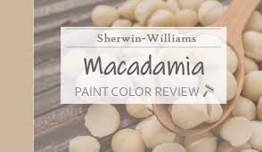 Sherwin Williams Macadamia Sw 6142