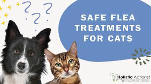 flea treatments are the safest for cats