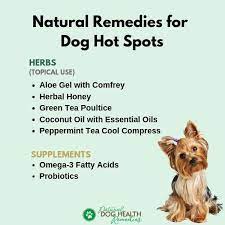 natural dog hot spots remes a dog