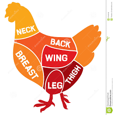 Chicken Cuts Diagram Stock Vector Illustration Of Meal