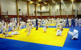 Check spelling or type a new query. Judo Gaz Wiki