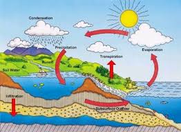 Explain Water Cycle With Diagram For Class 7 Get Rid Of