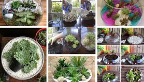 small garden in a glass bowl