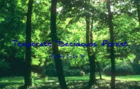 rate deciduous forest biome by