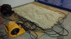 cleaning carpet tile rugs hardwood