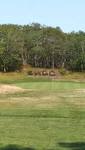 Sandwich Hollows Golf Club (East Sandwich) - All You Need to Know ...