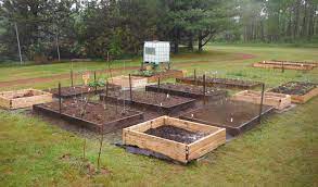 Community Garden Guidelines In The Time