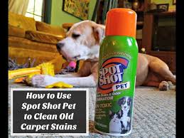 clean old carpet stains