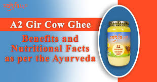 a2 gir cow ghee benefits and