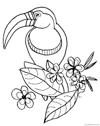 Select from 35970 printable coloring pages of cartoons, animals, nature, bible and many more. Zoo Animal Coloring Pages Toucan Bird Coloring4free Coloring4free Com