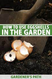 how to use eggss in the garden