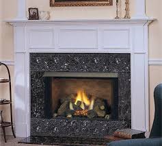 37 Natural Blaze Vent Free Fireplace