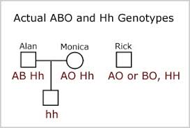The Hh Blood Group Blood Groups And Red Cell Antigens