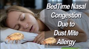 dust mite allergy causing bedtime nasal