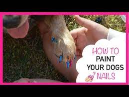 your dogs nails zachary snowman