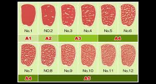 Japanese Grading Chart For Wagyu Beef In 2019 Wagyu Beef