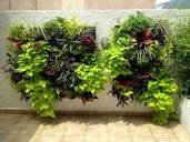 Cuadros con plantas artificiales para pared DecorKLASS | Muros ...
