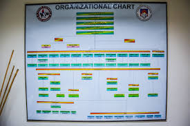 Organizational Chart Cnhs Official