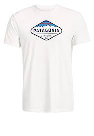 Men Shirts Tops Patagonia Fitz Roy Print T Shirt White