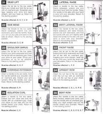 Weider Exercise Chart Printable Best Picture Of Chart