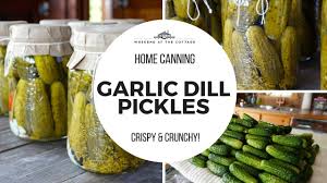 the best garlic dill pickles recipe