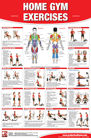 Home Gym Exercises Gym Workout Chart Workout Posters At