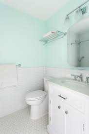Aqua Blue Walls In Boys Bathroom