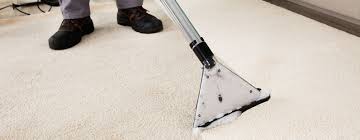 carpet cleaning md building services nyc