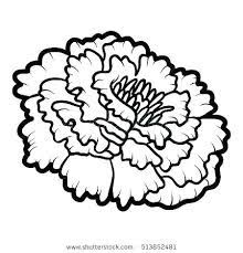 Color combinations are created using the relative positioning of the colors in the color wheel. Marigold Coloring Pages Coloring Home