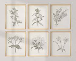 Vintage Botanical Prints Modern