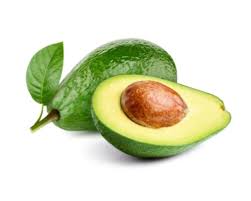 what is avocado in telugu apr 25 2024